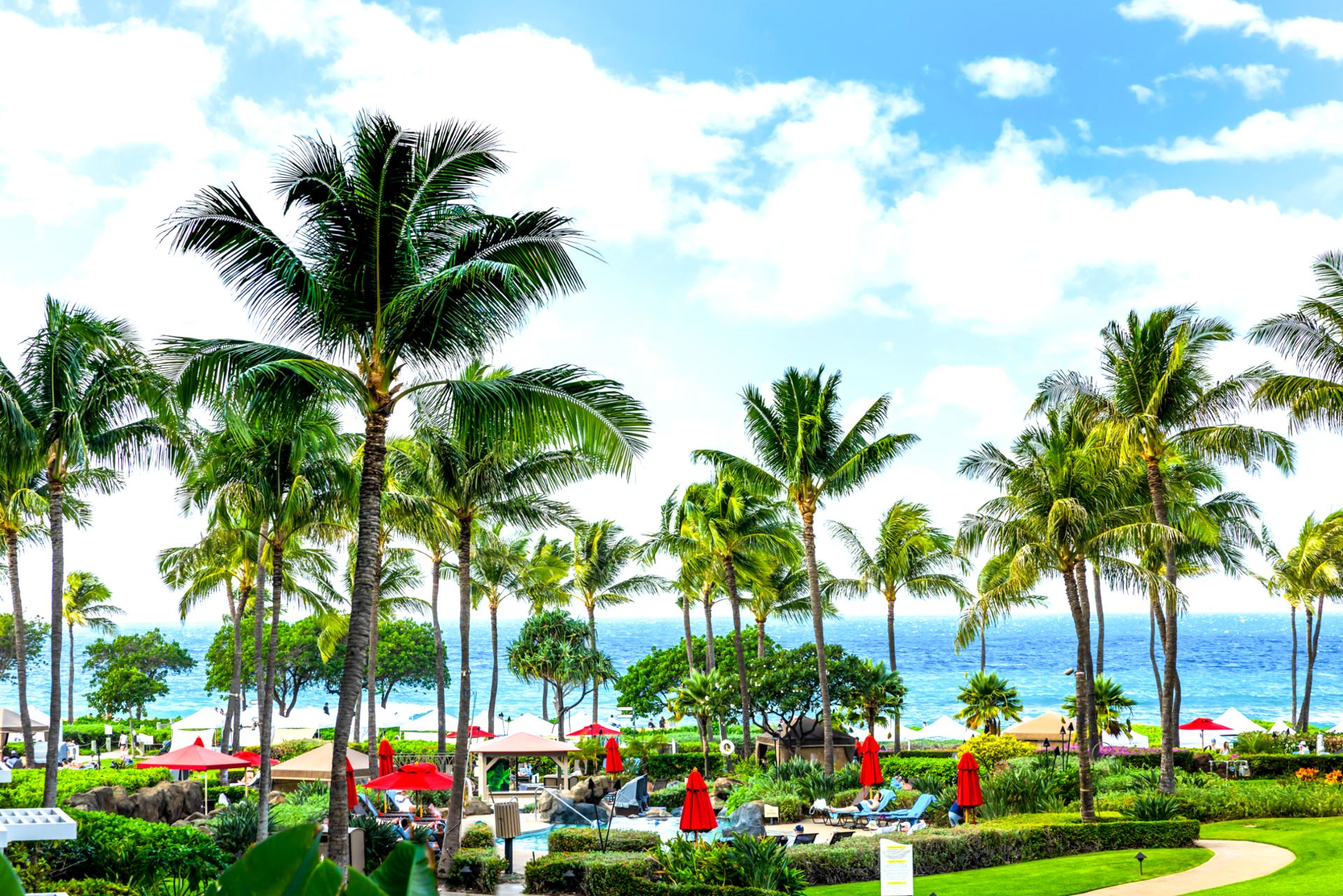 Enjoy a wide view of palm-lined lawns and the ocean on the horizon, a classic Honua Kai setting steps from the sand.
