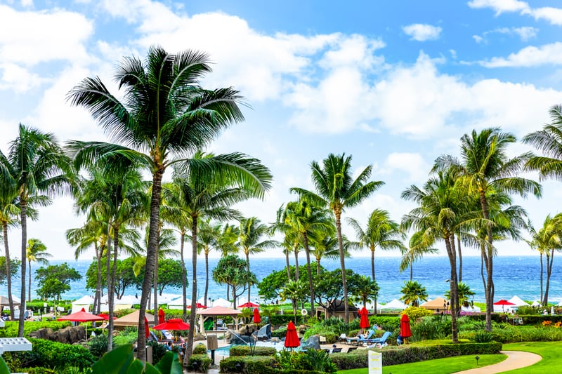 Enjoy a wide view of palm-lined lawns and the ocean on the horizon, a classic Honua Kai setting steps from the sand.