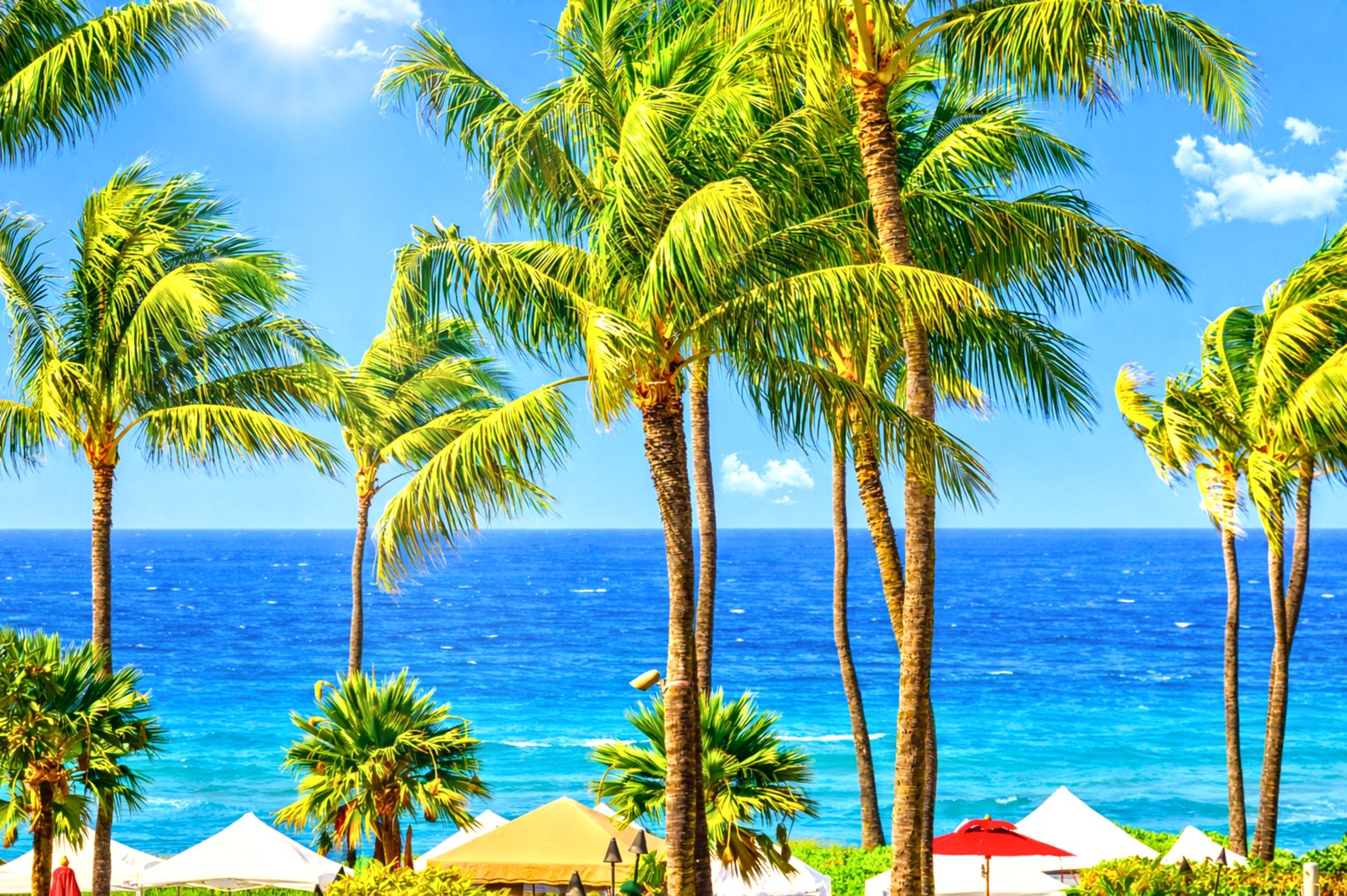 Frame your day with palm trees and a ocean views from Honua Kai Konea 213, a postcard scene in every direction.