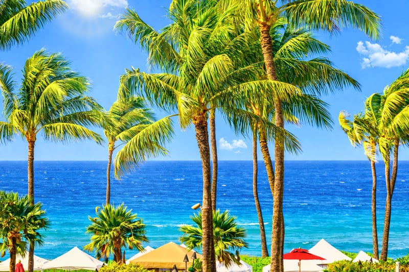 Frame your day with palm trees and a ocean views from Honua Kai Konea 213, a postcard scene in every direction.