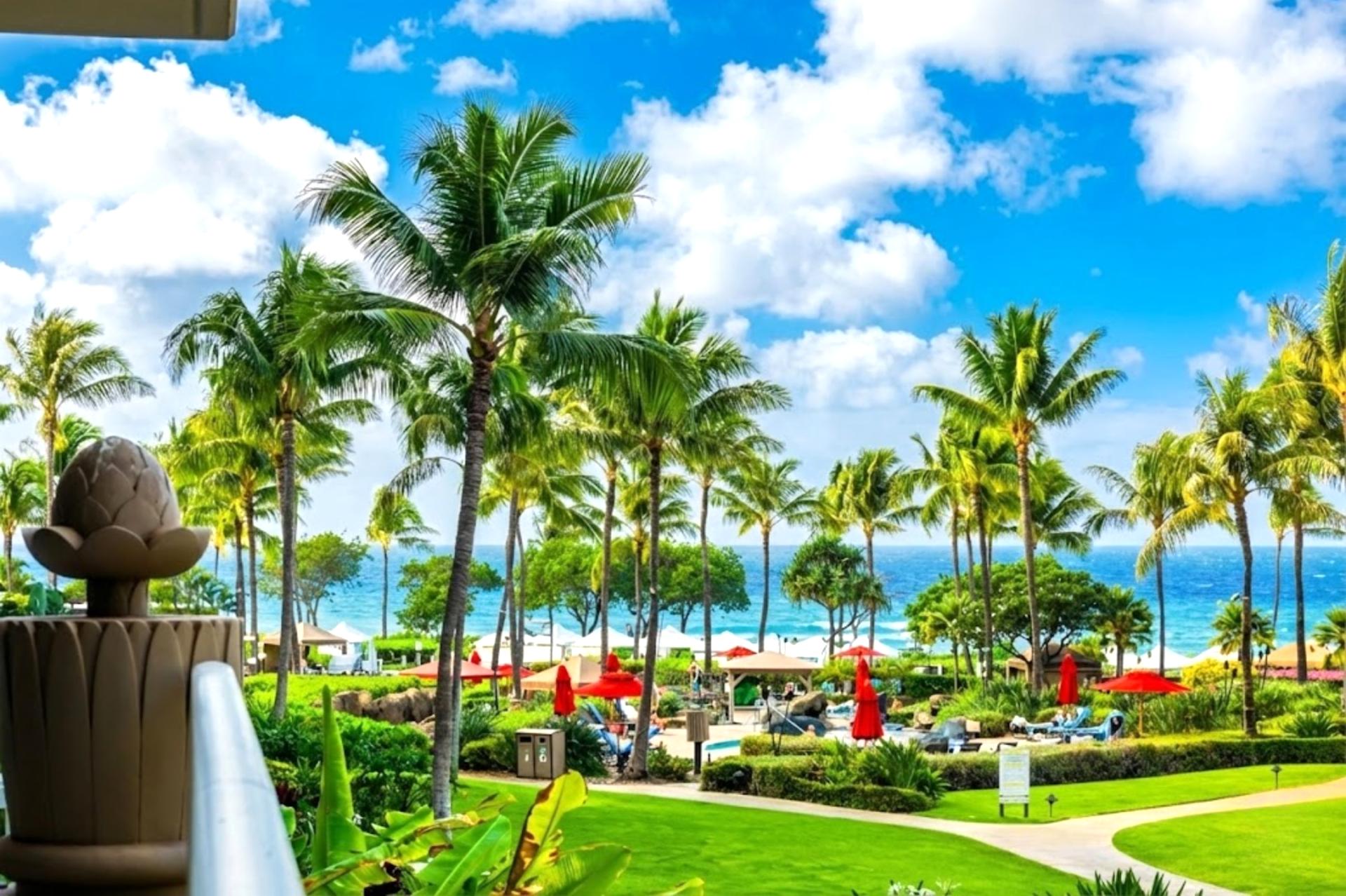 Stroll past lush lawns and palms with the ocean on the horizon, an easy preview of the Honua Kai beachfront setting.