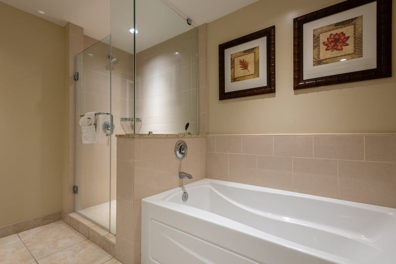 Large floor to ceiling glass shower with perfect bath for soaking and relaxing HKK-225
