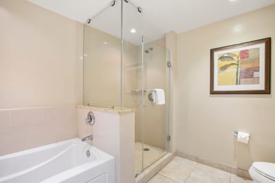 Relaxing soak or refreshing shower in spa-inspired bathroom retreat.