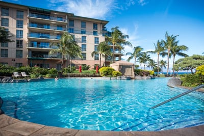 Resort-style pool surrounded by palms, gardens, and ocean breezes.