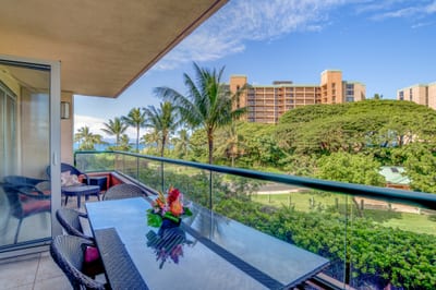 Tropical paradise from your private lanai with ocean views.