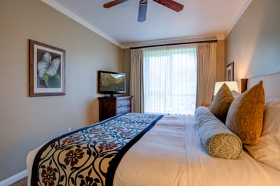 Peaceful retreat with tropical bedding, soft light, and scenic views.