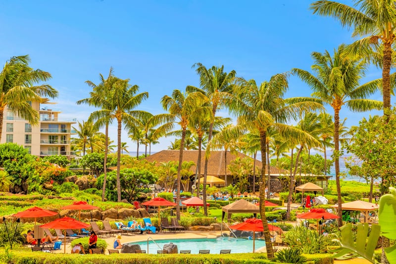 Wake up to paradise views right outside your window
