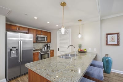 Granite countertops, stainless appliances, and pendant lights complete gourmet kitchen.