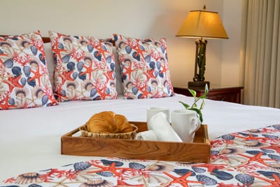 Cozy tropical mornings await