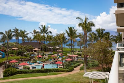 Tropical Bliss: Palm Trees, Pools, and Paradise Await in Hawaii.