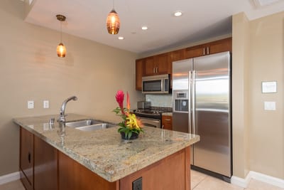 Stainless steel appliances - ready for meal preparation! HKK-424