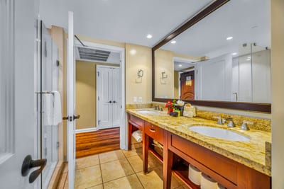 A large mirror and plenty of counter space make the guest bath easy to share.