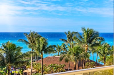 Palm-lined ocean views await from your spacious lanai, perfect for a quiet morning or golden hour unwinding HKK-443