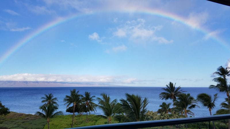 Expansive ocean view framed by palms and blue skies, your daily dose of Maui serenity.