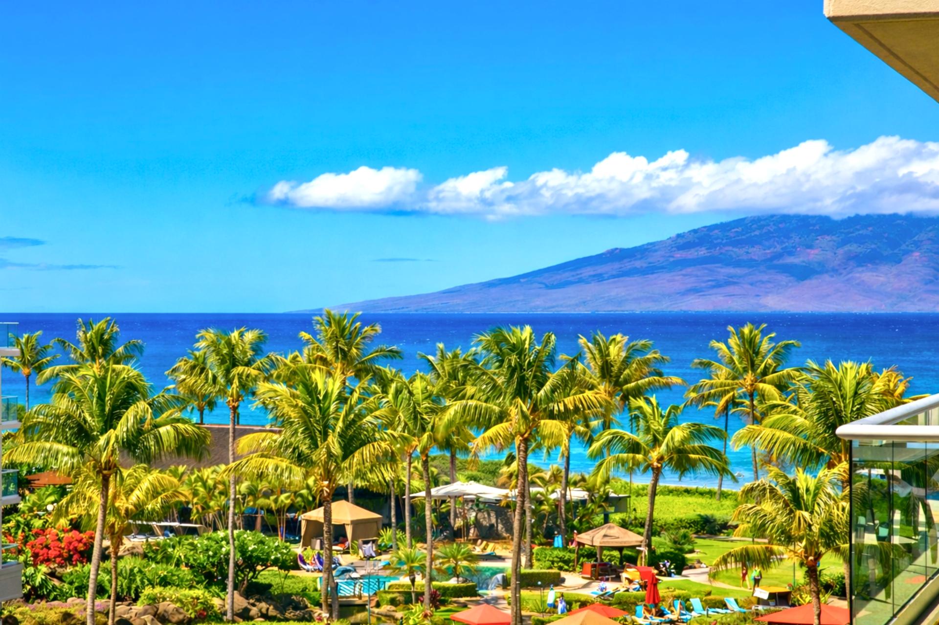 Palm trees and the blue Pacific stretch beyond Honua Kai’s lush grounds, giving your stay sweeping island views and the feeling of a true beachfront escape.