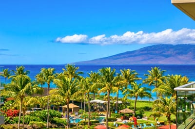 Palm trees and the blue Pacific stretch beyond Honua Kai’s lush grounds, giving your stay sweeping island views and the feeling of a true beachfront escape. HKK-537