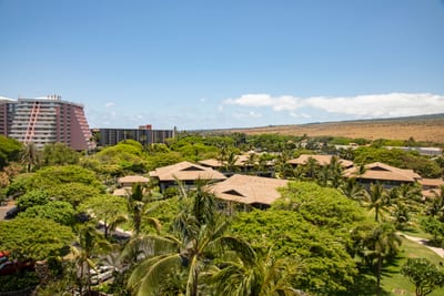 A private perch above paradise’s green canopy