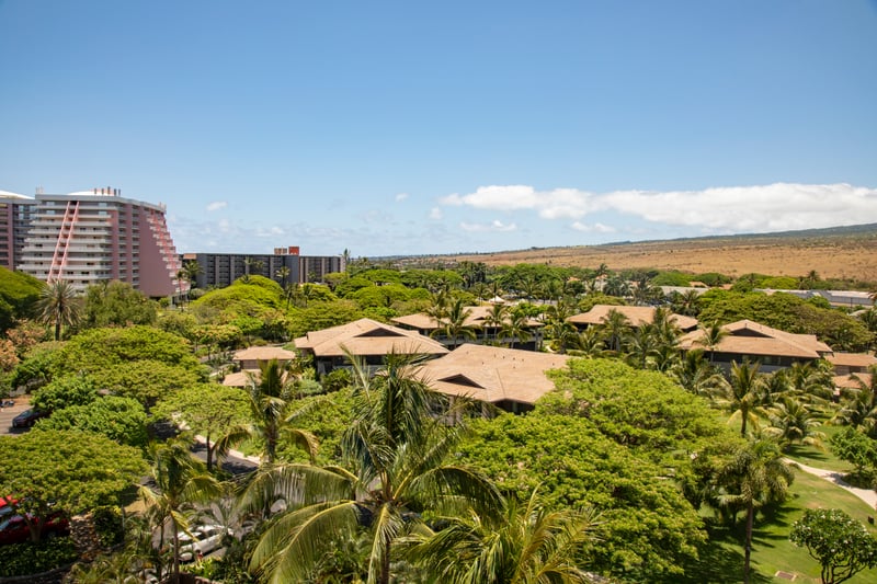 A private perch above paradise’s green canopy