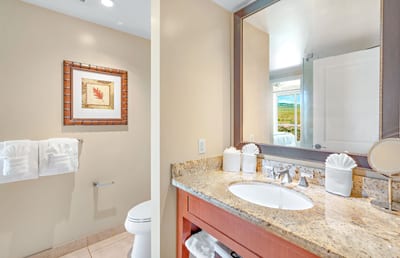 Charming guest bathroom with granite vanity and bright tropical decor touch.