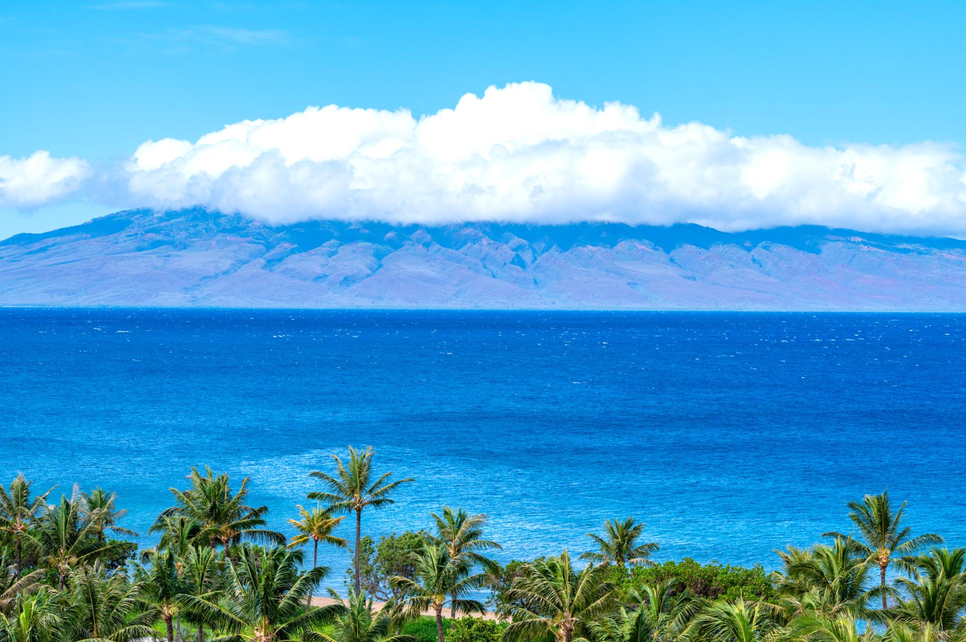 Gaze across the channel to Molokai from Honua Kai, where vibrant blues and lush palms frame an iconic island view.