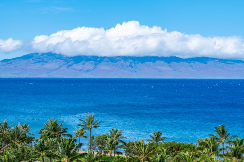 Gaze across the channel to Molokai from Honua Kai, where vibrant blues and lush palms frame an iconic island view.