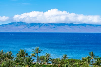 Gaze across the channel to Molokai from Honua Kai, where vibrant blues and lush palms frame an iconic island view.