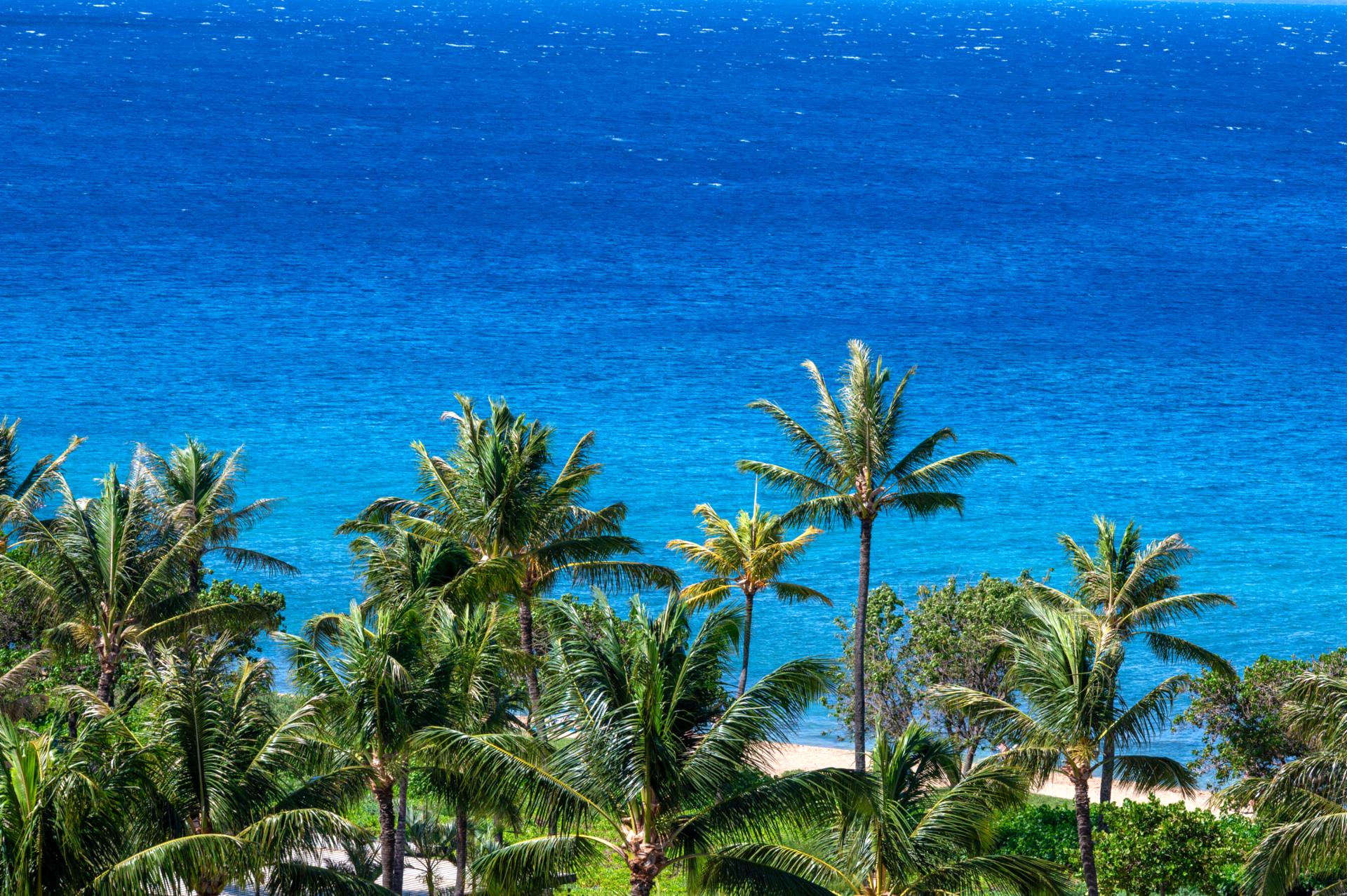 Crystal-clear waters and swaying palms frame the sandy shoreline just steps from Honua Kai, perfect for sun-filled days by the ocean.