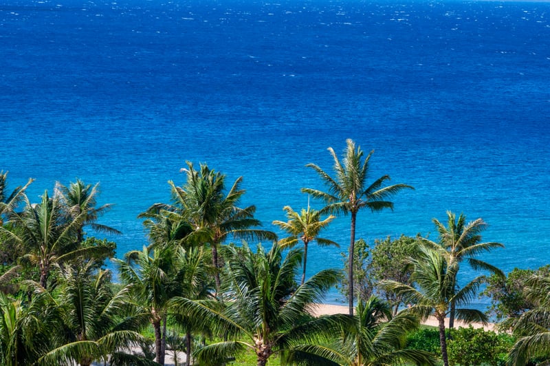 Crystal-clear waters and swaying palms frame the sandy shoreline just steps from Honua Kai, perfect for sun-filled days by the ocean.