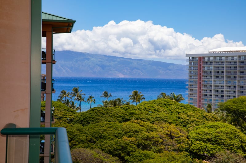 Soak in panoramic ocean views framed by palms and mountains. HKK-920