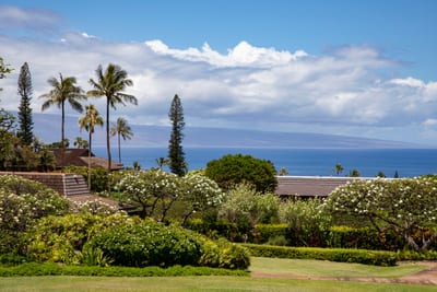 Every view, every moment, pure Maui magic.