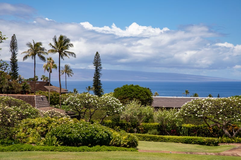 Every view, every moment, pure Maui magic.