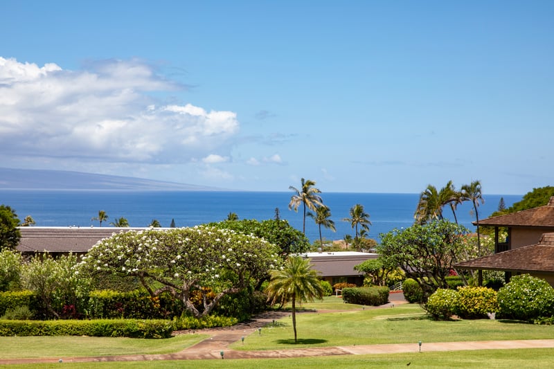 Endless skies, lush gardens, and the rhythm of the islands.