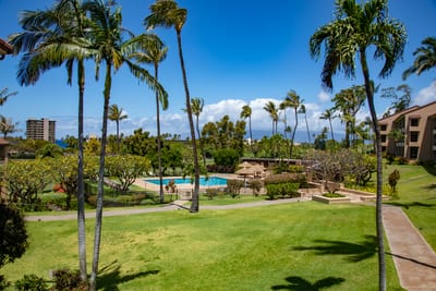 From tropical trees to the hills beyond, this scenic view offers a peaceful escape filled with color and calm