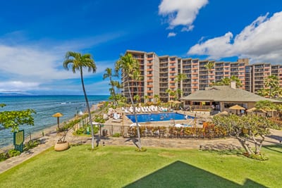 Panoramic coastal scenes framed by swaying palms and island skies.