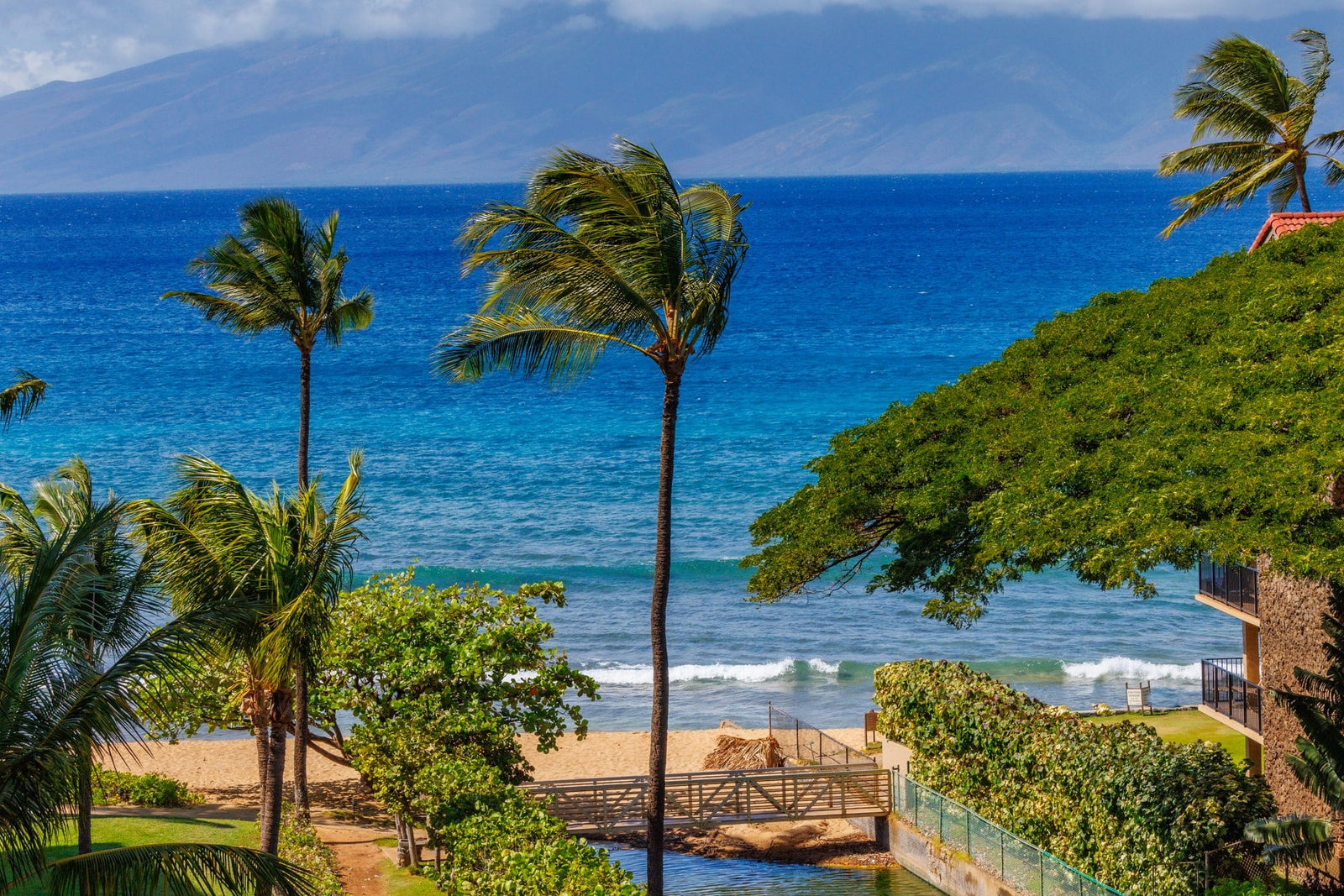 Palm-lined pathways lead to golden sand and clear blue waves, all just outside your door at Kaanapali Shores. KS-616