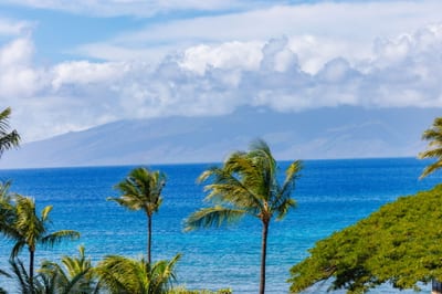 Panoramic ocean views framed by swaying palms and the silhouette of Molokai set the scene for an unforgettable island stay.