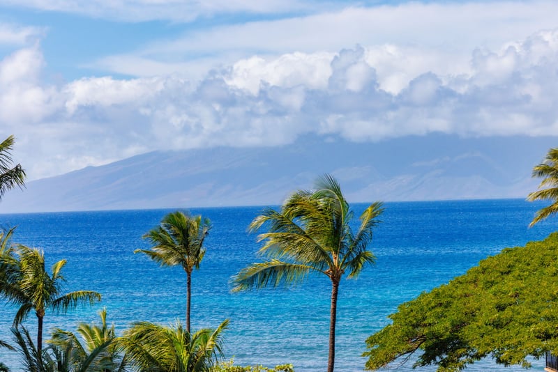 Panoramic ocean views framed by swaying palms and the silhouette of Molokai set the scene for an unforgettable island stay.