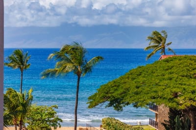 Soak in striking ocean blues and swaying palms with Molokai on the horizon, just steps from the sandy shoreline.