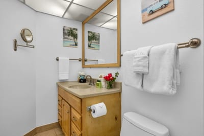 Guest bathroom with a single-sink vanity, large mirror, and fresh island details for a clean and comfortable daily routine.