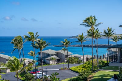 Gaze across swaying palms and open green space as the Pacific Ocean sparkles beneath cloud-kissed island skies KBV-12B3