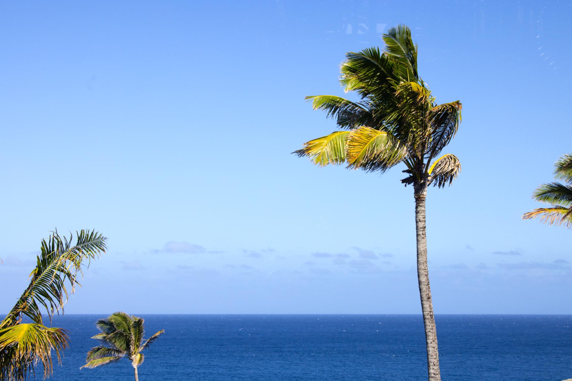 Step outside to fresh air and tropical surroundings