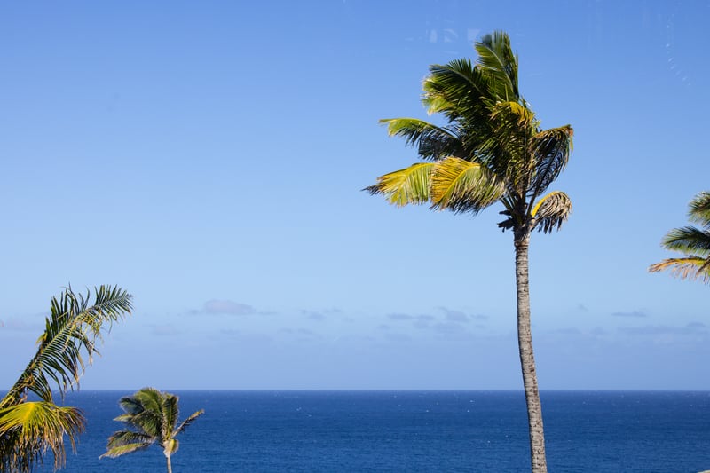 Step outside to fresh air and tropical surroundings