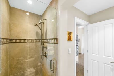 A modern guest bathroom with spa like touches