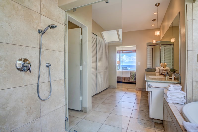 The master bath features clean architectural lines, luxury fixtures, and soft natural lighting from overhead skylights     KBV-16G4