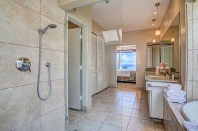 The master bath features clean architectural lines, luxury fixtures, and soft natural lighting from overhead skylights