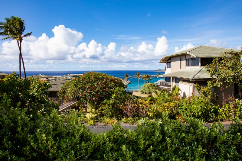 This view brings all the good vibes—blue skies, tropical blooms, and that sweet ocean tease in the distance   