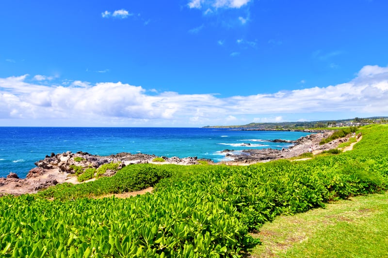 View along the Kapalua Coastal Trail, just steps from your patio!    