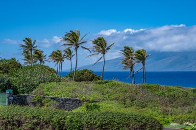 Experience Maui’s slower pace with this view as your constant backdrop—soothing, vibrant, and deeply grounding