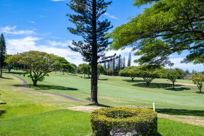 Tucked among the treetops and fairways, this home offers a serene embrace of nature, elegance, and effortless beauty KGV-14P3