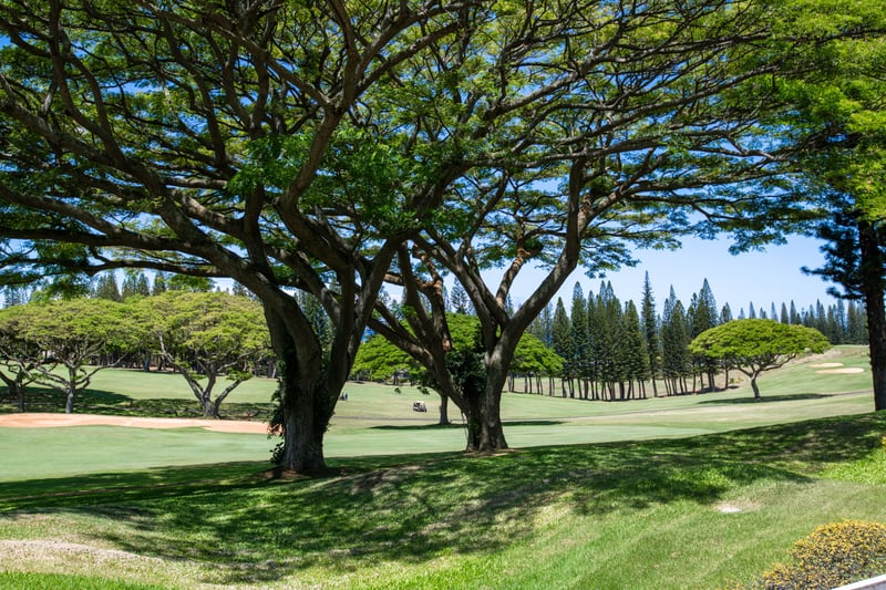 A place where stillness meets scenery—where wide-open fairways and lofty pines create a canvas of restful escape     KGV-14P3
